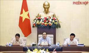Xây dựng các báo cáo phản ánh thực sự tâm tư, nguyện vọng của cử tri, nhân dân