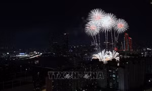 Pháo hoa rực rỡ trời đêm Seoul
