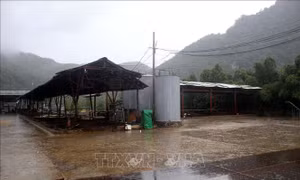 Ngăn ngừa ô nhiễm môi trường trong chế biến thủy sản