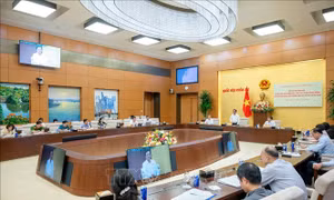 Tăng cường năng lực cấp xã để giải quyết các vấn đề môi trường trên địa bàn