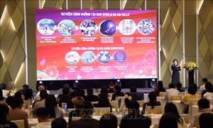 Lễ hội Pháo hoa quốc tế Đà Nẵng 2025 diễn ra từ ngày 31/5 - 12/7