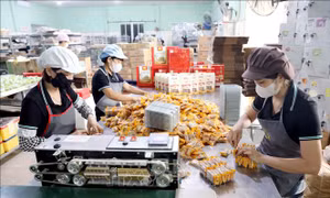 Hội chợ Mùa Thu năm 2025: Đưa tinh hoa làng nghề vươn xa