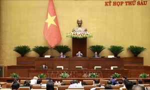Sẽ không có tác động nào làm ảnh hưởng đến kết quả lấy phiếu tín nhiệm