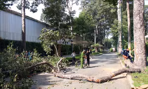 Chi trả toàn bộ chi phí điều trị, hỗ trợ tang lễ cho gia đình các nạn nhân