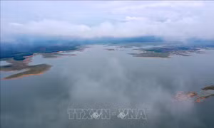 Cung ứng đủ hàng hoá, chủ động phương án phòng chống bão số 9