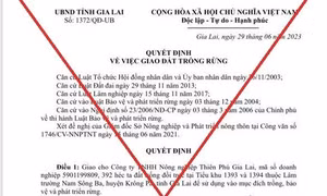 Gia Lai: Bác bỏ thông tin cấp gần 400 ha rừng cho doanh nghiệp