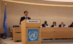 Việt Nam tái ứng cử Hội đồng Nhân quyền LHQ nhiệm kỳ 2026-2028, thúc đẩy đoàn kết quốc tế và phát triển bao trùm, bền vững