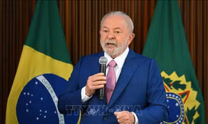 Tân Tổng thống Brazil cam kết hợp tác chặt chẽ với Quốc hội