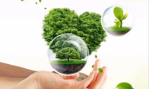 Đẩy mạnh cơ chế phối hợp thanh tra, kiểm tra lĩnh vực tiêu chuẩn đo lường chất lượng