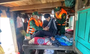 Kịp thời cứu ngư dân bị tai nạn trên biển