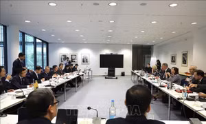 Đối thoại giữa Đoàn đại biểu Đảng Cộng sản Việt Nam và Đảng Dân chủ Xã hội Đức