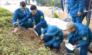 Phát hiện hài cốt, vật liệu nổ tại Di tích Đồi A1, Điện Biên