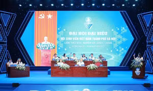 Bầu Ban Chấp hành Hội Sinh viên thành phố Hà Nội khóa VIII, nhiệm kỳ 2023 - 2028 