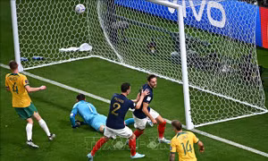 WORLD CUP 2022: Bảng D - Gà trống Gaulois gáy vang trên sân Al Janoub