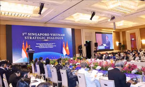 Việt Nam - Singapore hướng đến tương lai chung tự cường