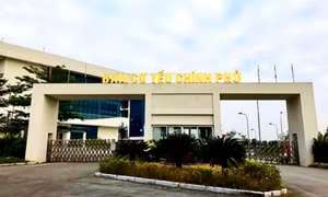 Chức năng, nhiệm vụ của Thanh tra Cơ yếu, Thanh tra được thành lập theo điều ước quốc tế