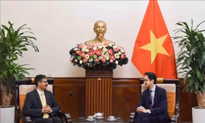 Thứ trưởng Bộ Ngoại giao Đỗ Hùng Việt tiếp Báo cáo viên đặc biệt của LHQ 