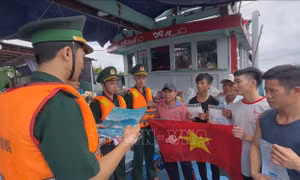 Cao điểm kiểm tra, xử phạt tàu cá vi phạm khai thác IUU