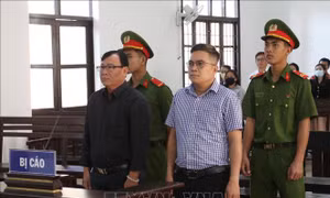 Vụ Việt Á: Xét xử vụ án xảy ra tại CDC Ninh Thuận