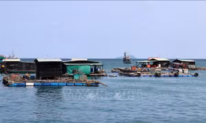 Nuôi cá lồng kết hợp du lịch cho lợi nhuận đến 400 triệu đồng/năm