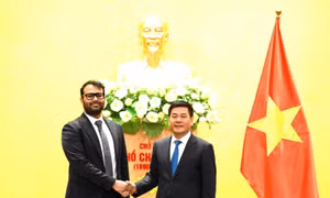 UAE muốn hợp tác phát triển lưới điện thông minh với Việt Nam