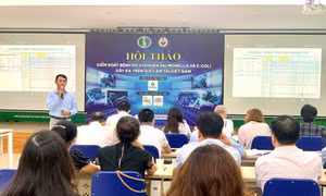 Kiểm soát bệnh do vi khuẩn Salmonella và E. coli gây ra trên gia cầm