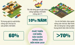 Đưa Việt Nam thành trung tâm chế biến nông sản top 10 thế giới vào năm 2030 - Phần 2