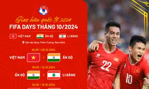 Đội tuyển Việt Nam sẽ có hai trận đấu giao hữu quốc tế chất lượng vào tháng 10/2024