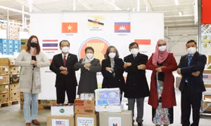 Ủy ban ASEAN tại CH Séc hỗ trợ người dân vượt qua đại dịch COVID-19