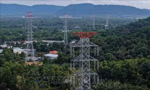 An Giang: Hoàn thành 3 dự án điện trọng điểm phục vụ APEC 2027