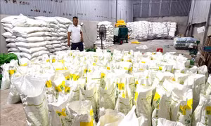 Điều tra một doanh nghiệp nghi sản xuất phân bón giả