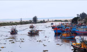 Cửa biển ở Quảng Ngãi bị bồi lấp khiến tàu thuyền khó ra vào