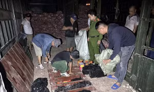 Liên tiếp phát hiện hai vụ vận chuyển pháo nổ số lượng lớn