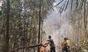 Đám cháy rừng ở huyện Văn Bàn (Lào Cai) đã cơ bản được khống chế