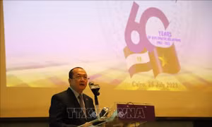 Mối quan hệ Việt Nam - Ai Cập tiếp tục phát triển vượt bậc trên nhiều lĩnh vực
