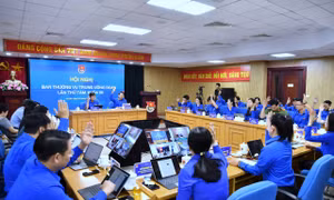 Phấn đấu tăng tỷ lệ thanh thiếu nhi được tiếp cận hoạt động nâng cao năng lực số