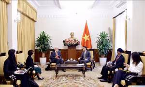 Đưa quan hệ Việt Nam với Thụy Sĩ, Morocco, Senegal đi vào chiều sâu