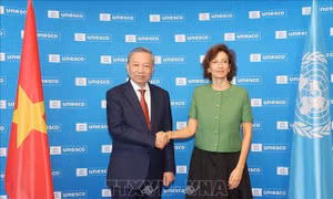 Tổng Bí thư, Chủ tịch nước Tô Lâm làm việc với Tổng Giám đốc UNESCO