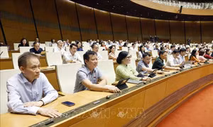 Thống nhất rút ngắn thời gian thực hiện quy trình bầu cử