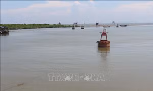 Tìm thấy thi thể học sinh 11 tuổi mất tích khi tắm biển ở Nghệ An