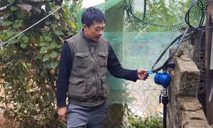 Công ty nước sạch bán 'chui' nước sinh hoạt cho nhiều hộ dân