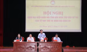 Cử tri kiến nghị xử lý triệt để ô nhiễm môi trường tại Văn Môn (Bắc Ninh)