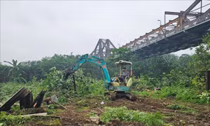 Hà Nội: Giải tỏa vi phạm đất bãi bồi ven sông để trồng hoa