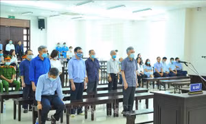 Xét xử Vũ Huy Hoàng và đồng phạm: Đồng loạt thực hiện sai phạm một cách có hệ thống