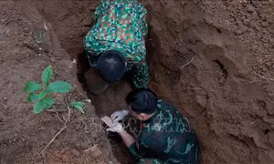 Phát hiện, quy tập nhiều hài cốt liệt sĩ ở tỉnh Quảng Trị