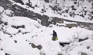 Ấn Độ: Tuyết lở tại Kashmir làm nhiều người mắc kẹt