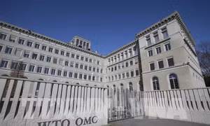 'Giải cứu' WTO khỏi cơn khủng hoảng