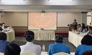 Gói vay ưu đãi giúp người lao động không vướng vào 'tín dụng đen'