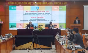 Xây dựng hệ thống lương thực, thực phẩm hiệu quả, linh hoạt 