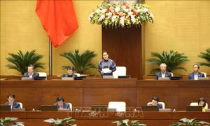 Kỳ họp thứ 8, Quốc hội khóa XIV: Thông cáo báo chí số 15